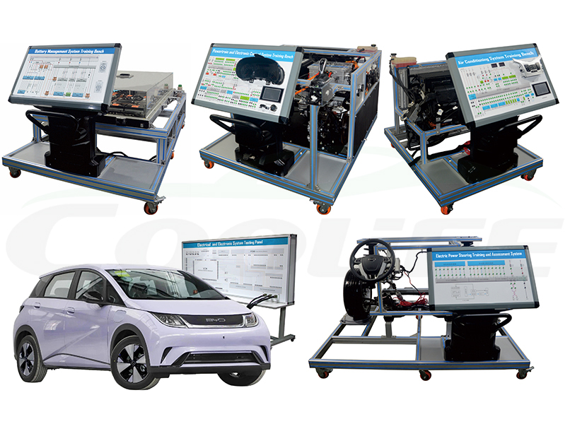 EVA01c:One Stop Solution BYD Dolphin